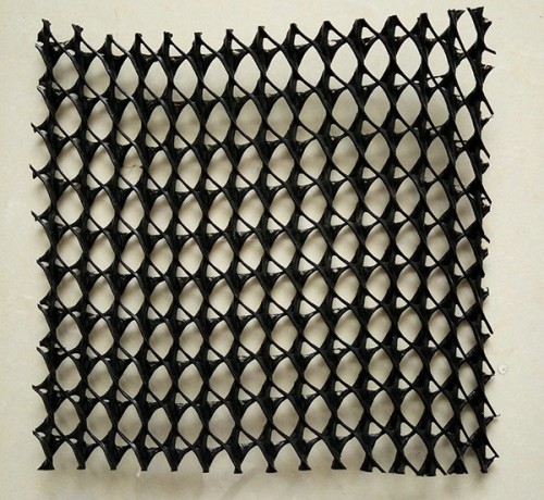 蘭州復合排水網